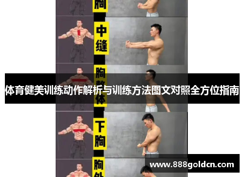 体育健美训练动作解析与训练方法图文对照全方位指南